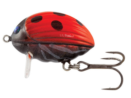 SALMO Wobler Lil Bug Floating Ladybird 2 cm 2,8 g