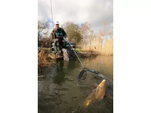 Drennan prut Acolyte Distance feeder 13 ft