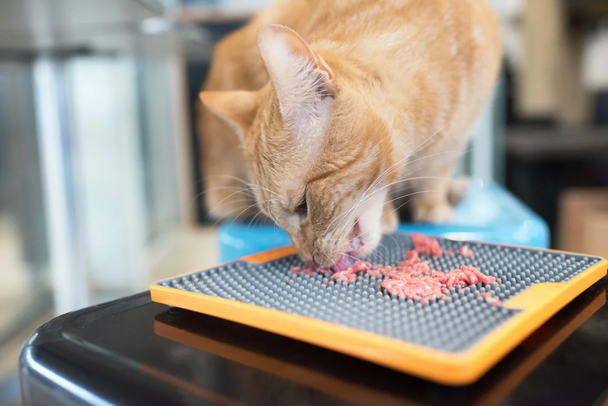 Drennan prut Martin Bowler 12 Spec Barbel 1.75lb