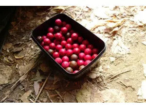 Drennan prut Martin Bowler 12 Spec Barbel 1.75lb