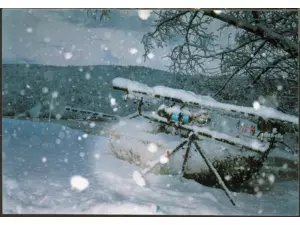 Drennan prut Martin Bowler 12 Spec Barbel 1.75lb